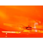 Deleks BUGGY-100 Fűnyíró