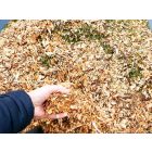 Deleks DK-800 Honda Benzines ágaprító