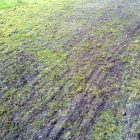 Jansen Borona, 1,4 m Szélességű, Talajlazításra és Egyengetésre